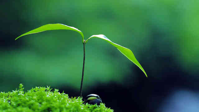 1582160961340639.jpg 春天.jpg