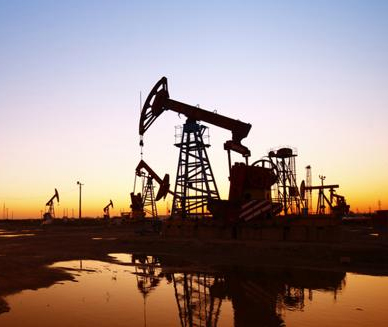 Determination of Anions and Iodine Ions in Petroleum Water