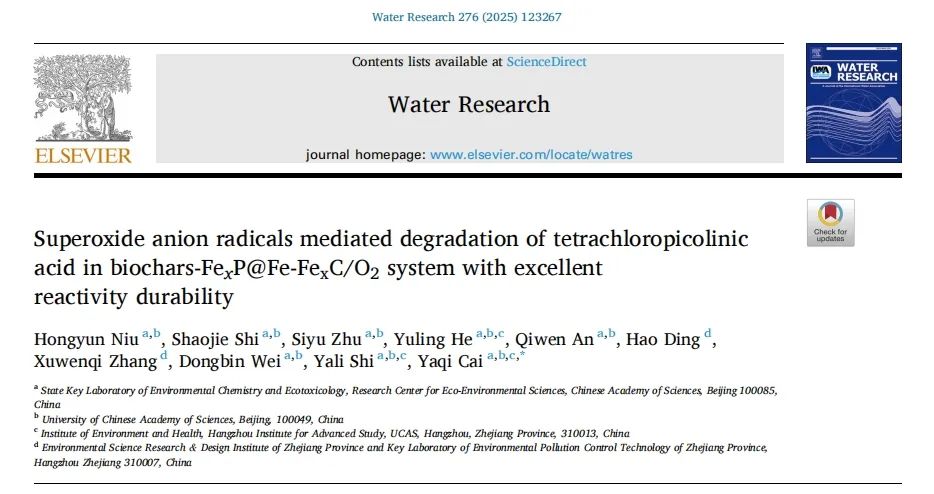 How Can Iron-based Catalysts Break Through Traditional Technological Bottlenecks and Efficiently Degrade Organic Pollutants?