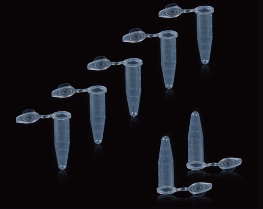 PCR Tube