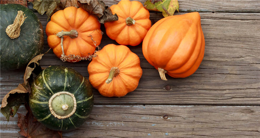 Pretreatment of nitrate and nitrite in pumpkin powder